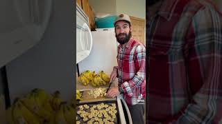 Dehydrating bananas for backpacking [upl. by Mari]