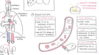 PART II  Pneumonia Transmission Causative Agents Investigations Management [upl. by Annay912]