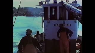 Havblikk The Movie HD [upl. by Leunas]