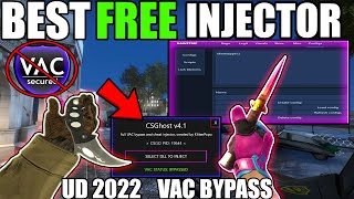 FREE UNDETECTED INJECTOR 2022 BYPASSES VAC [upl. by Reteip]