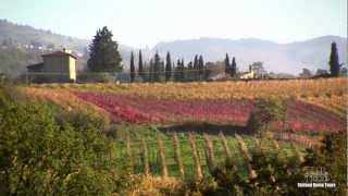 Enchanting Chianti Wine Tour  with Stefano Rome Tours [upl. by Itoc]