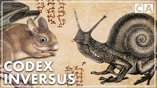 The Creatures of Codex Inversus [upl. by Ashlen]