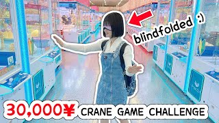 30000 YEN CRANE GAME CHALLENGE in Japan [upl. by Greenlee]