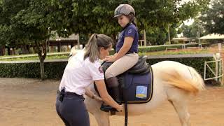 COMO MONTAR A CAVALO PELA PRIMEIRA VEZ  LIÇÃO 01   DICA PARA INICIANTES [upl. by Nosyt861]