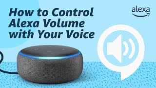 How to Control Alexa Volume with Your Voice [upl. by Olaf]