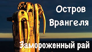 Остров Врангеля quotЗамороженный райquot The Wrangel Island Frozen Paradise  Природа [upl. by Aiekam]