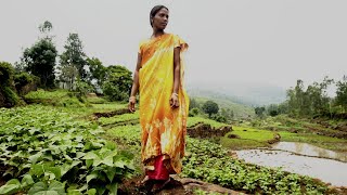 Zero Budget Natural Farming An Agricultural Revolution is Taking Shape in India [upl. by Emmey690]