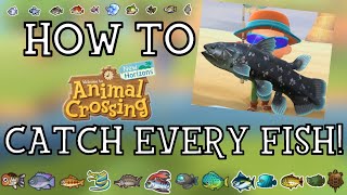 How To Catch Every Fish in Animal Crossing New Horizons  New Horizons Fishing Guide [upl. by Feriga]