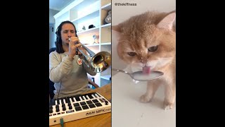 The Kiffness X NumNum Cat Live Looping Balkan Remix [upl. by Heidi]