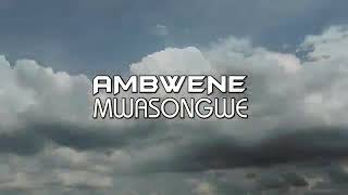 CHOZI LA HAKI BY AMBWENE MWASONGWE [upl. by Casi512]