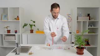 Acid Base Neutralisation Reaction Experiment [upl. by Cardie]