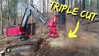 TimberPro TL775D  Triple Cutting Monster Timber [upl. by Sitnerp]