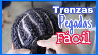 COMO HACER TRENZAS PEGADAS PARA PRINCIPIANTES [upl. by Groeg]