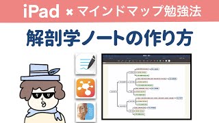 【iPad勉強法】解剖学が得意になるノート作り（マインドマップ） [upl. by Norvol308]