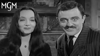 Best of Morticia amp Gomez Addams  MGM Studios [upl. by Andert]