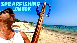 SPEARFISHING LOMBOK INDONESIA [upl. by Wixted671]