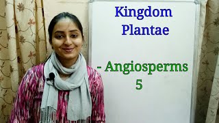 SubDivision Angiosperms  Biological classification part9  Class XI  Lecture 37 [upl. by Dumanian]