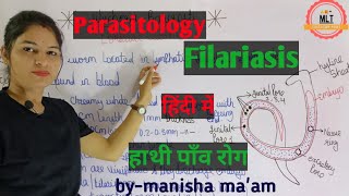 Filariasis हाथीपाँव  wuchereria bancrofti  Microfilaria  Mlt Lecture  Parasitology [upl. by Ramas949]