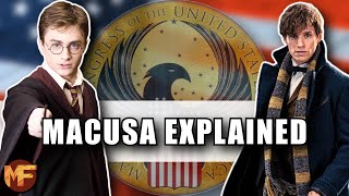 The MAGICAL Congress of the UNITED STATES MACUSA Harry PotterFantastic Beasts Explained [upl. by Nemsaj]