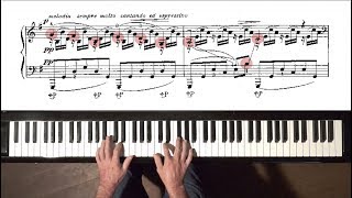 SaintSaëns quotThe Swanquot PIANO A Siloti  Free Practice Score [upl. by Aihsile]