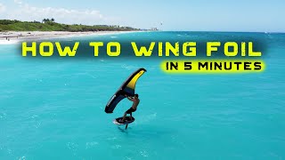 How to WING FOIL in 5 minutes [upl. by Sacrod]