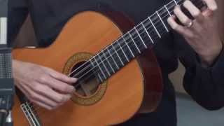 Classical Guitar Lesson 1 [upl. by Ewart]