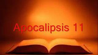 APOCALIPSIS completo Biblia hablada RV 1960 [upl. by Greenberg262]