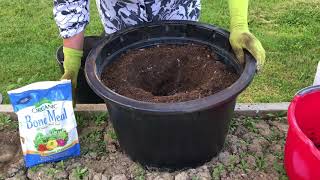 Planting Tomatoes in Containers [upl. by Amaty10]