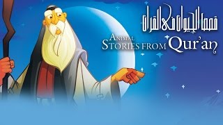 قصص الحيوان في القرآن  تتر البداية  Animal Stories from Quran  Intro [upl. by Villiers]