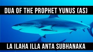 La ilaha illa Anta Subhanaka  Dua Of The Prophet Yunus AS  Saad Al Qureshi [upl. by Micco]