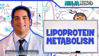 Osmosis and Water Potential Updated [upl. by Nitsreik]