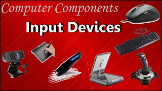 Input Devices of Computer  Examples and purpose [upl. by Karlens]