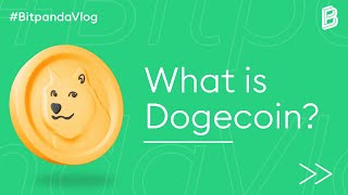 The History of Dogecoin Whats behind the hype of the memecoin [upl. by Arahsit]