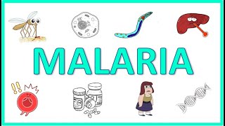 Malaria  Causes Pathogenesis Signs and Symptoms Diagnosis Treatment and Prevention [upl. by Akisey]