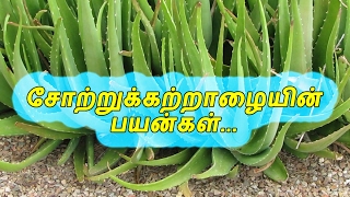 Nattu Maruthuvamtamil tips healthHealth TipsTamil VideoBenefitsTamil Video [upl. by Moore583]