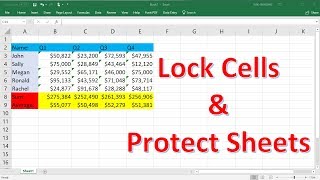 How To Lock Individual Cells and Protect Sheets In Excel [upl. by Lrat881]