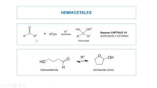 Hidratos de carbono  Parte 1 [upl. by Fenwick]