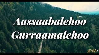 ALI BIRRAA KARAAN MANA ABBAA GADAA  Lyrics [upl. by Roxane450]