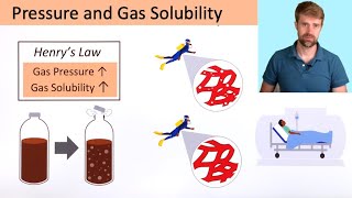 Pressure and Gas Solubility Henrys Law [upl. by Omidyar]