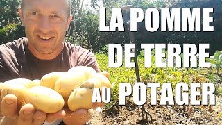 La POMME DE TERRE au potager [upl. by Cohla]