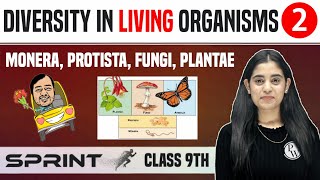 Diversity in Living Organisms 02  Monera Protista Fungi Plantae  Class 9  NCERT  Sprint [upl. by Malha]