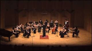 Salieri  Sinfonia La Veneziana Amadeus Chamber Orchestra [upl. by Hayikat]