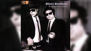 The Blues Brothers  Shot Gun Blues Live Version Official Audio [upl. by Rramahs]