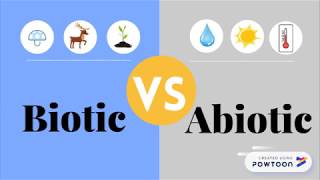 Biotic VS Abiotic Factors I Timely Tutor [upl. by Cynthla]