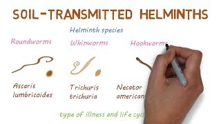 CHICKEN VS SULFURIC ACID VS HCL ACID  DAMAGE TO SKIN BY ACIDS  EXPERIMENTS AND HACKS [upl. by Etam865]