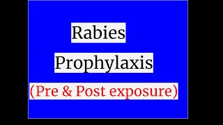 Rabies ProphylaxisPre amp Post exposure prophylaxis [upl. by Menis377]