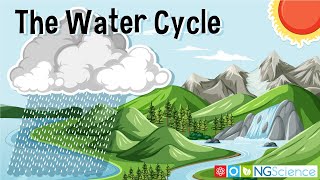 Water Hydrological Cycle [upl. by Decamp]