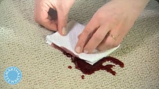 How to Remove Any Carpet Stain  Martha Stewart [upl. by Enaoj328]