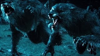 Top 10 Werewolf Movies REDUX [upl. by Chura]