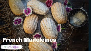 French Madeleines Recipe [upl. by Aicirtak]